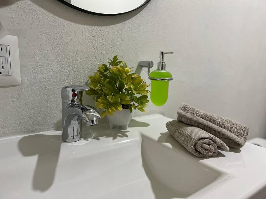 과달라하라 Depa Boho Al Sur Pet Friendly Piscina Gym Sala De Cine 아파트 외부 사진